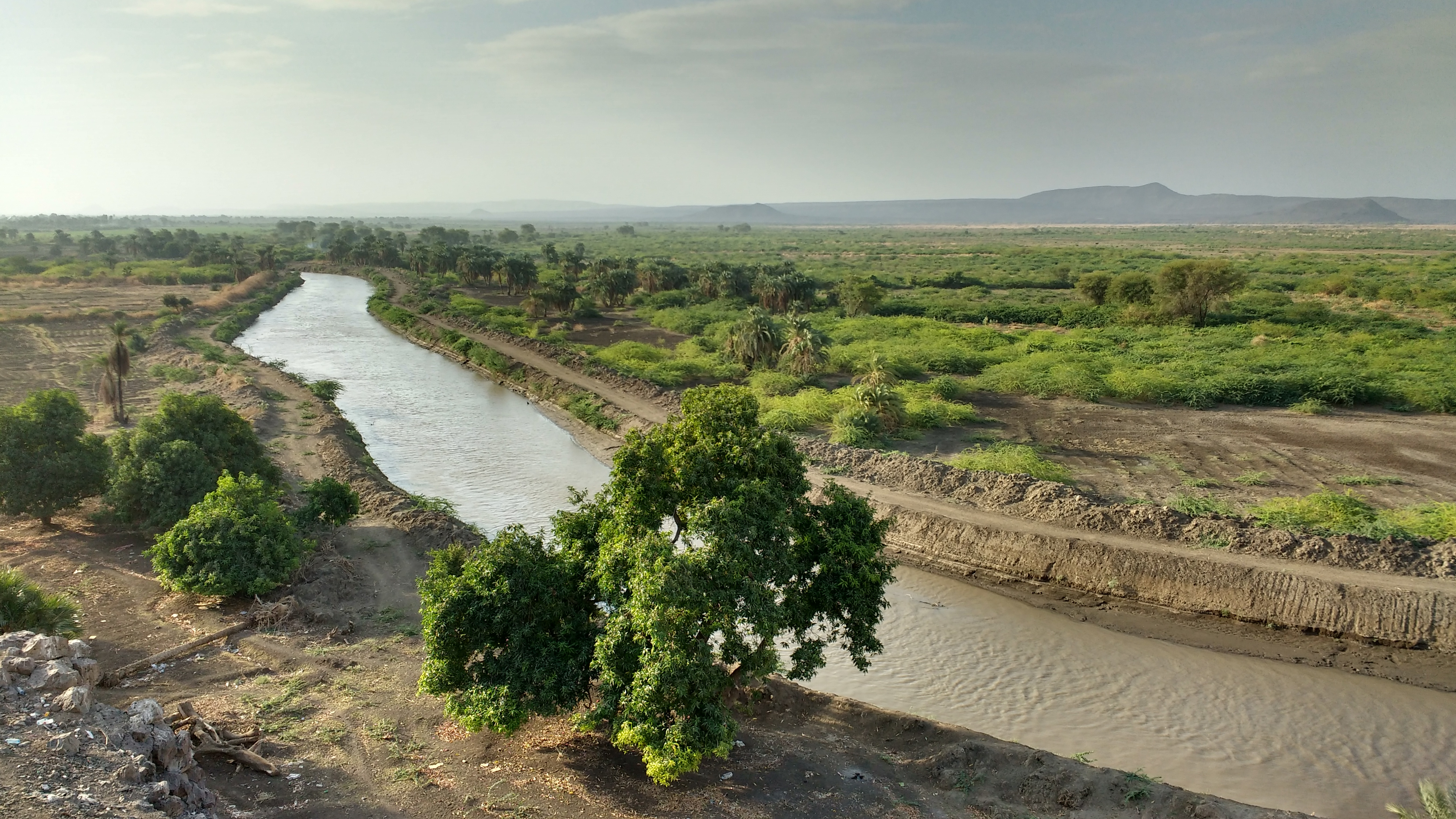 The Awash River near Asaita in Ethiopia, where irrigation supports agriculture in the country’s dry lowlands, 2015.
